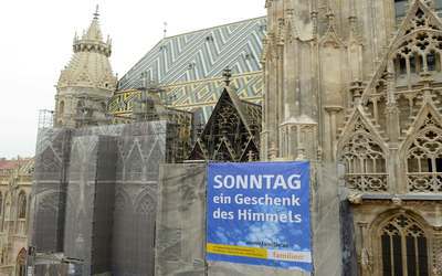 Transparent Stephansdom
