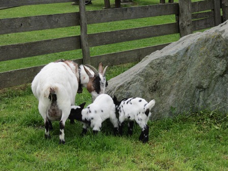 Gusto-Pilgern 2016 (FC: Familienverband)